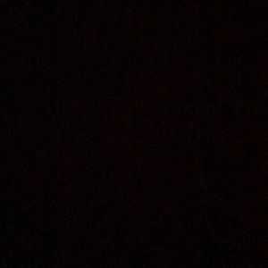 Meet your Posher, Gavin